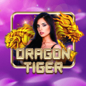 jilibibi Dragon Tiger live casino